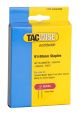 Tacwise 0768 91/40mm Galvanised Staples (1,000 Per Box).